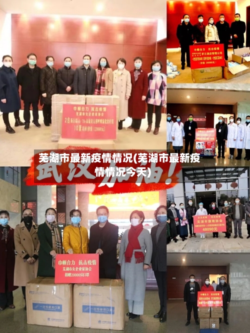 芜湖市最新疫情情况(芜湖市最新疫情情况今天)-第2张图片