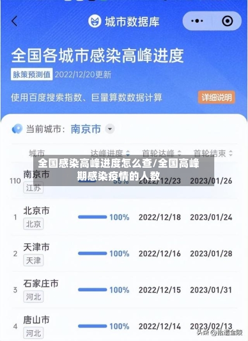 全国感染高峰进度怎么查/全国高峰期感染疫情的人数-第2张图片