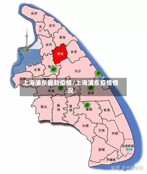 上海浦东最新疫情/上海浦东疫情情况-第2张图片
