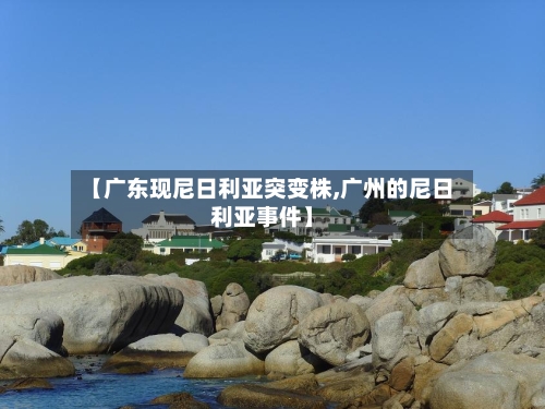 【广东现尼日利亚突变株,广州的尼日利亚事件】