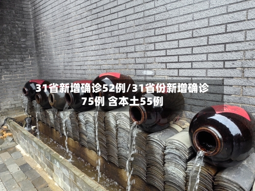 31省新增确诊52例/31省份新增确诊75例 含本土55例-第3张图片