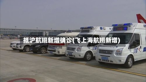 抵沪航班新增确诊(飞上海航班新增)-第2张图片