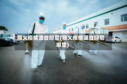 顺义疫情源自印尼(顺义疫情源自印尼哪里)-第2张图片