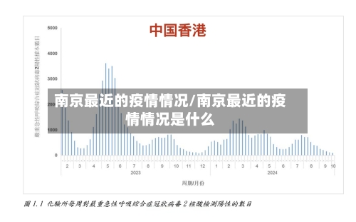 南京最近的疫情情况/南京最近的疫情情况是什么-第2张图片
