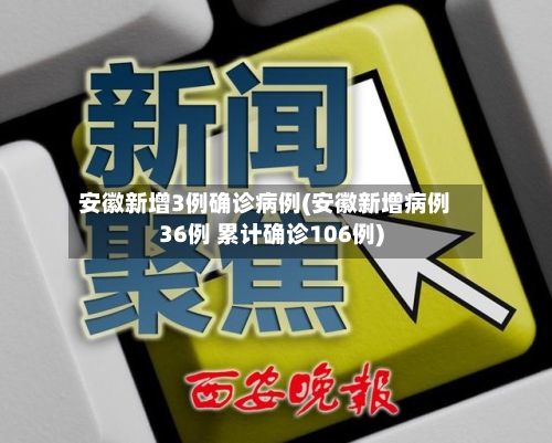 安徽新增3例确诊病例(安徽新增病例36例 累计确诊106例)