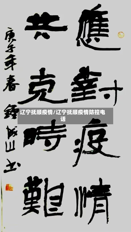 辽宁抚顺疫情/辽宁抚顺疫情防控电话-第3张图片