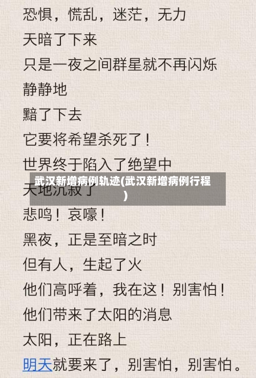 武汉新增病例轨迹(武汉新增病例行程)-第2张图片