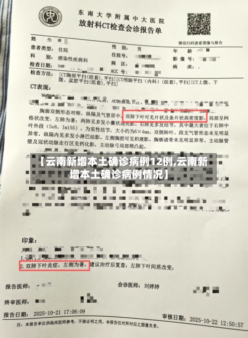 【云南新增本土确诊病例12例,云南新增本土确诊病例情况】-第3张图片