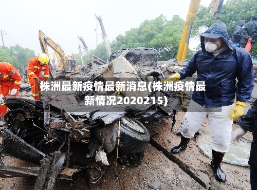 株洲最新疫情最新消息(株洲疫情最新情况2020215)-第2张图片