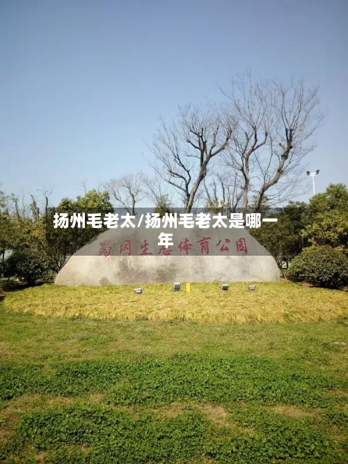 扬州毛老太/扬州毛老太是哪一年