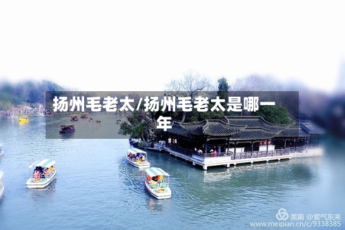 扬州毛老太/扬州毛老太是哪一年-第2张图片