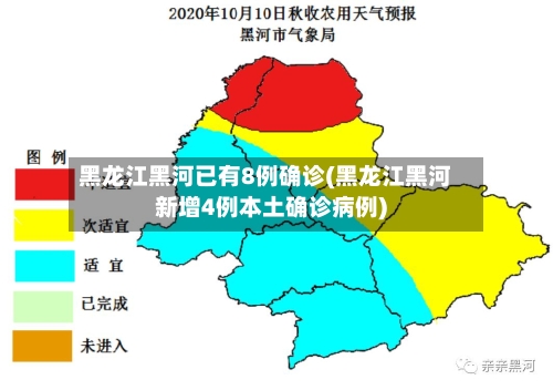 黑龙江黑河已有8例确诊(黑龙江黑河新增4例本土确诊病例)