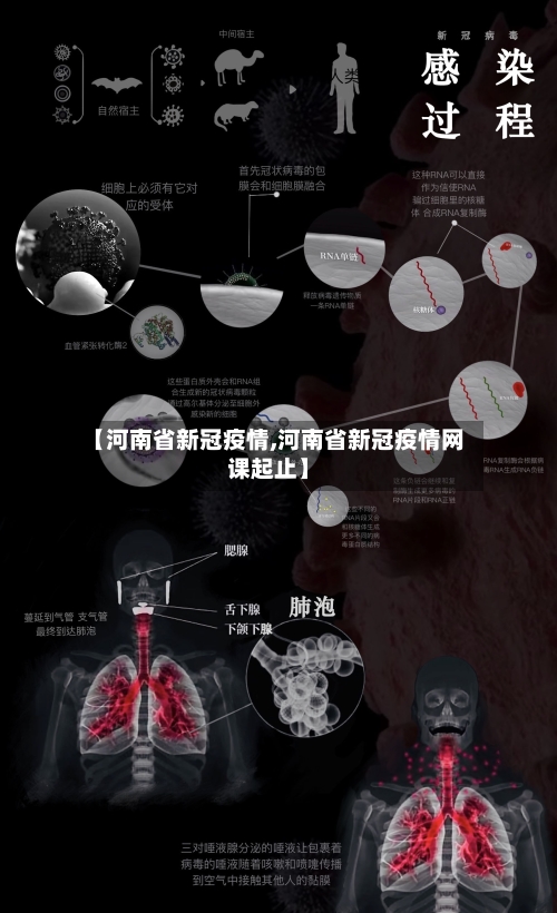 【河南省新冠疫情,河南省新冠疫情网课起止】