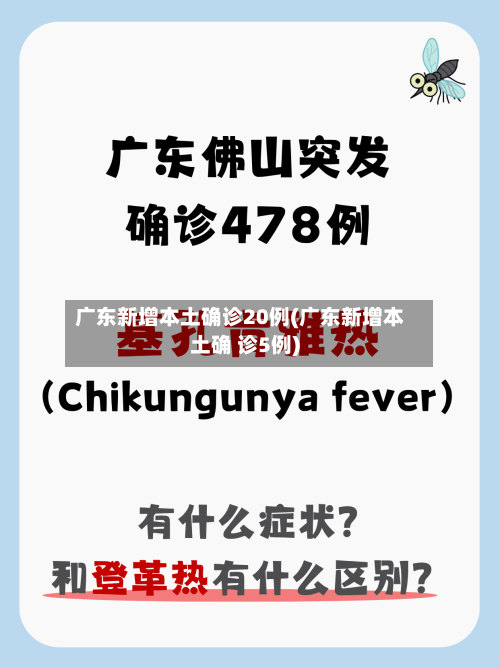 广东新增本土确诊20例(广东新增本土确 诊5例)-第2张图片