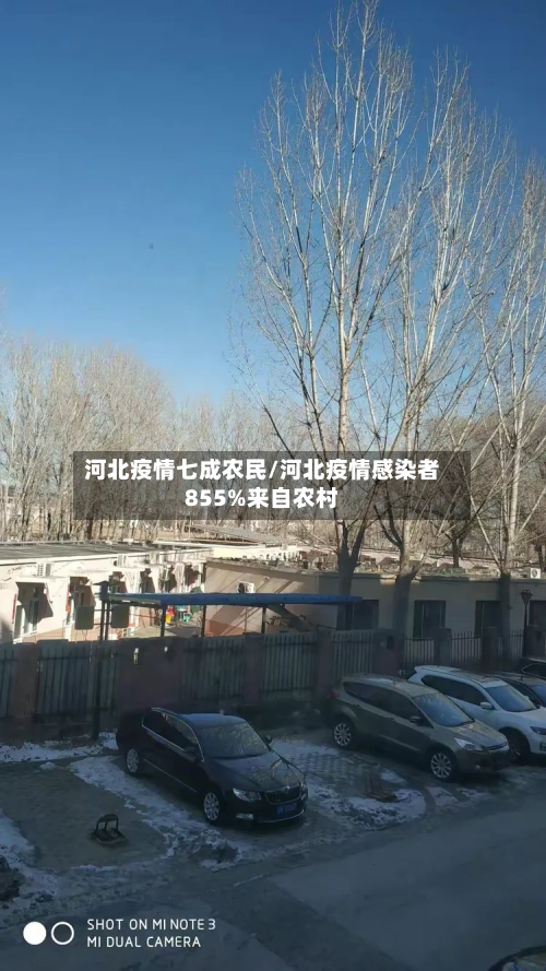河北疫情七成农民/河北疫情感染者855%来自农村-第2张图片