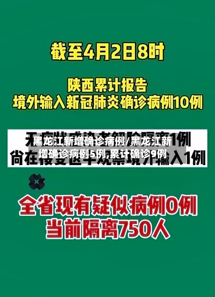 黑龙江新增确诊病例/黑龙江新增确诊病例5例,累计确诊9例-第3张图片