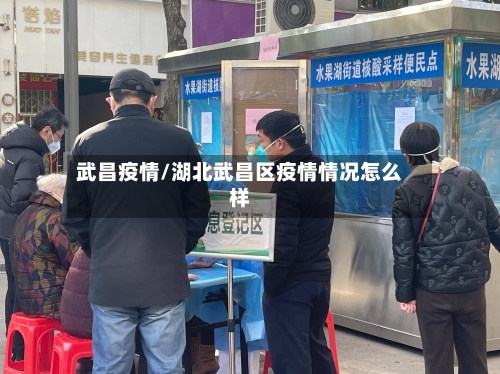 武昌疫情/湖北武昌区疫情情况怎么样