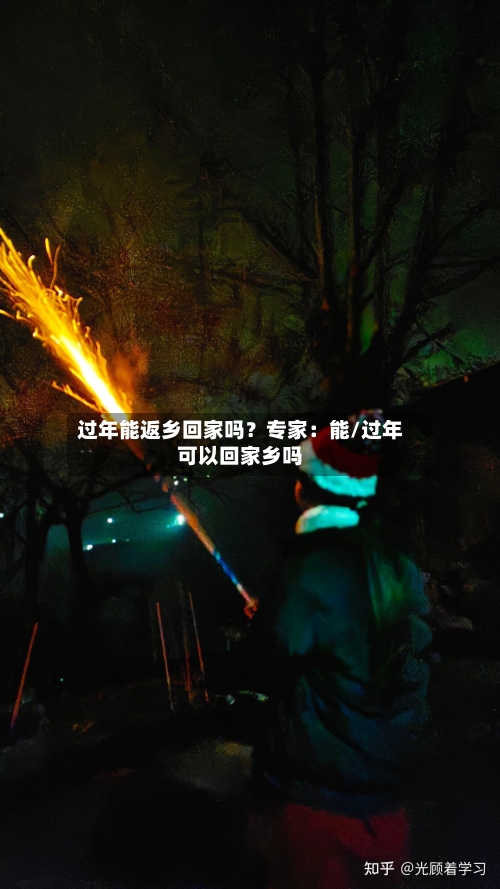 过年能返乡回家吗?专家:能/过年可以回家乡吗-第2张图片