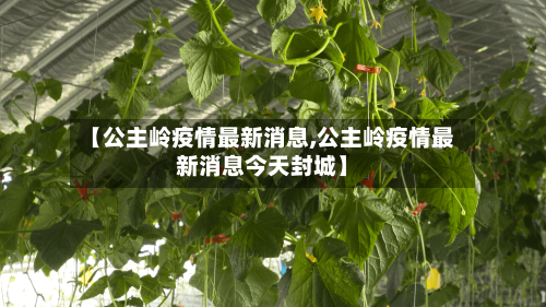 【公主岭疫情最新消息,公主岭疫情最新消息今天封城】