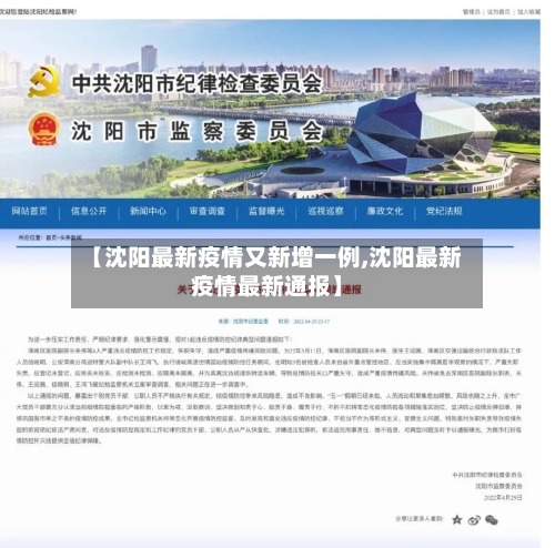 【沈阳最新疫情又新增一例,沈阳最新疫情最新通报】-第3张图片
