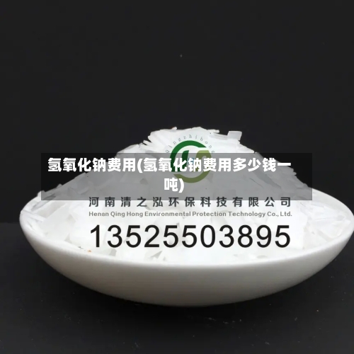 氢氧化钠费用(氢氧化钠费用多少钱一吨)-第2张图片