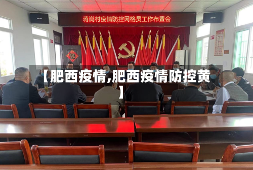 【肥西疫情,肥西疫情防控黄】-第2张图片