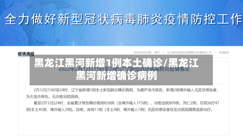 黑龙江黑河新增1例本土确诊/黑龙江黑河新增确诊病例