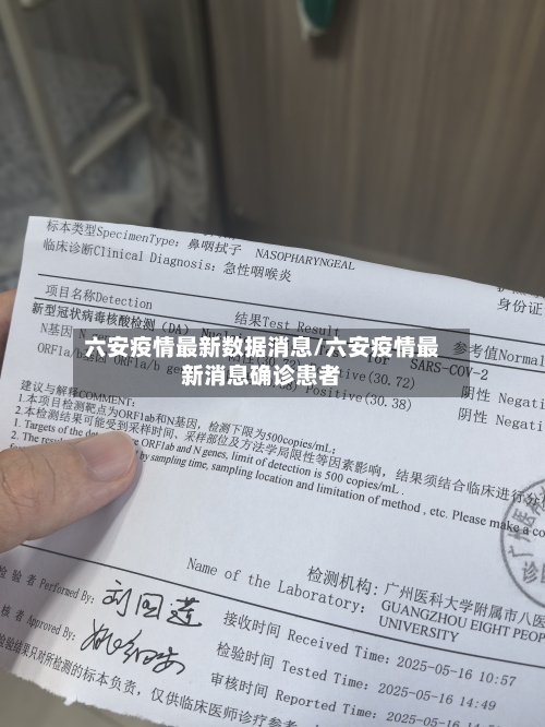 六安疫情最新数据消息/六安疫情最新消息确诊患者-第2张图片