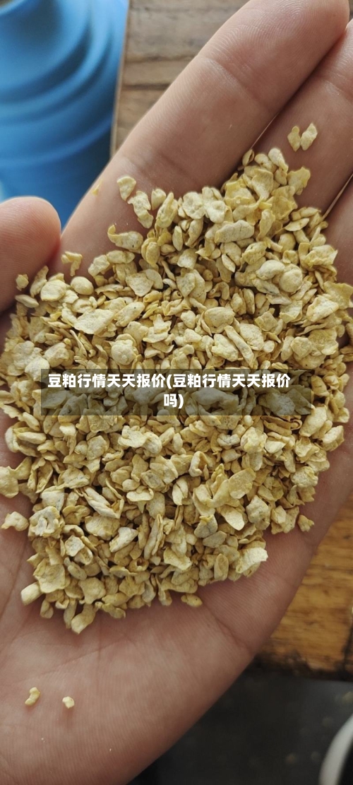 豆粕行情天天报价(豆粕行情天天报价吗)