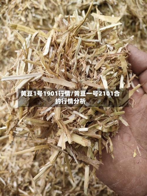 黄豆1号1901行情/黄豆一号2101合约行情分析-第2张图片