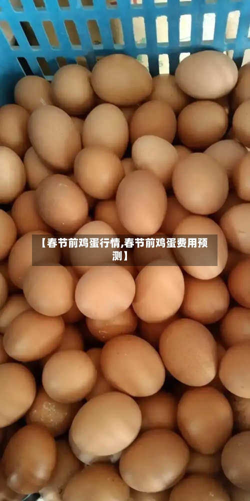 【春节前鸡蛋行情,春节前鸡蛋费用预测】-第2张图片