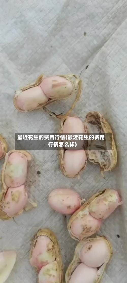 最近花生的费用行情(最近花生的费用行情怎么样)