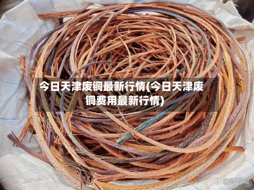 今日天津废铜最新行情(今日天津废铜费用最新行情)