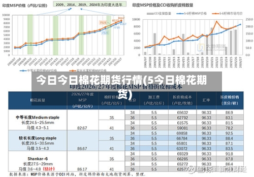 今日今日棉花期货行情(5今日棉花期货)