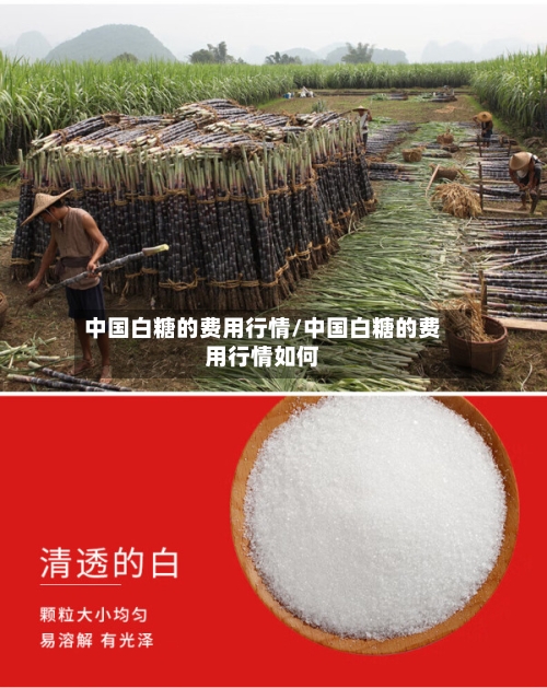 中国白糖的费用行情/中国白糖的费用行情如何-第2张图片