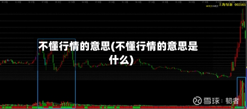 不懂行情的意思(不懂行情的意思是什么)-第2张图片