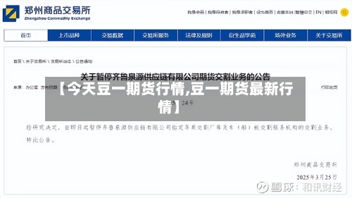 【今天豆一期货行情,豆一期货最新行情】