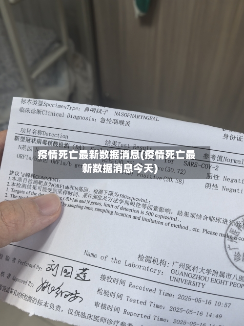 疫情死亡最新数据消息(疫情死亡最新数据消息今天)