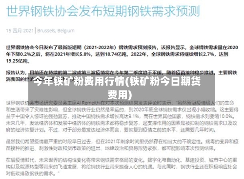 今年铁矿粉费用行情(铁矿粉今日期货费用)