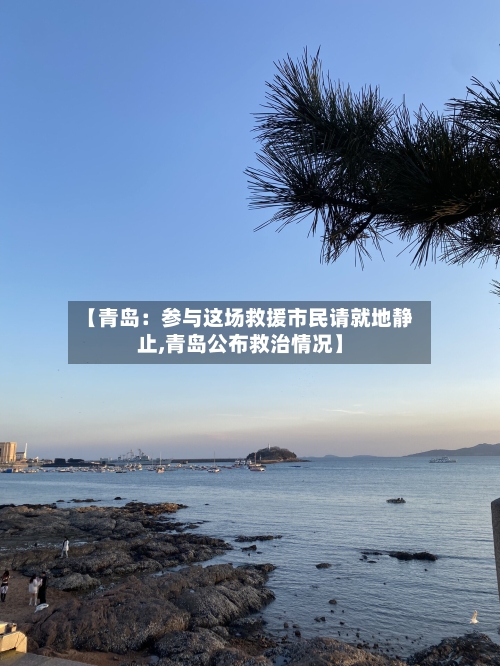 【青岛:参与这场救援市民请就地静止,青岛公布救治情况】-第3张图片