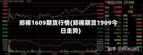郑棉1609期货行情(郑棉期货1909今日走势)-第2张图片