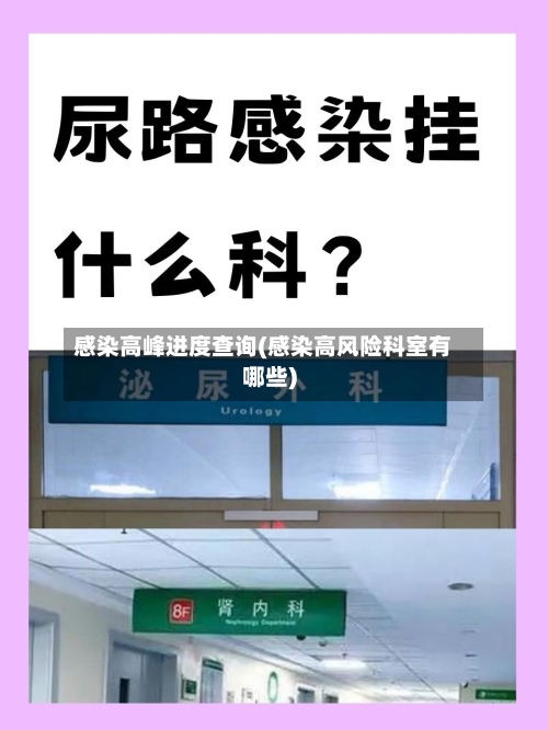 感染高峰进度查询(感染高风险科室有哪些)-第3张图片