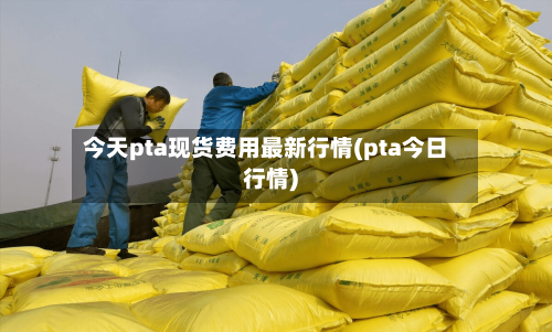 今天pta现货费用最新行情(pta今日行情)