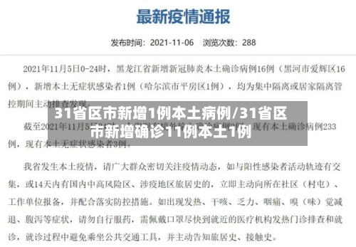 31省区市新增1例本土病例/31省区市新增确诊11例本土1例