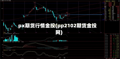 px期货行情金投(pp2102期货金投网)