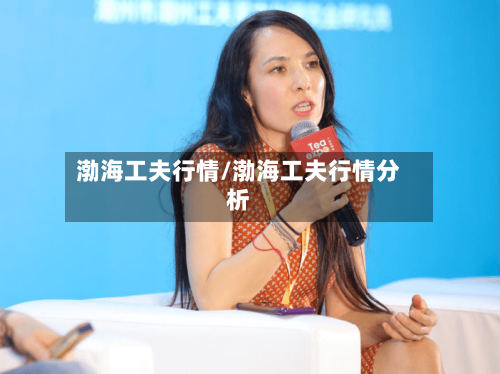 渤海工夫行情/渤海工夫行情分析-第3张图片