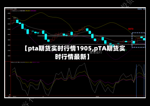 【pta期货实时行情1905,pTA期货实时行情最新】