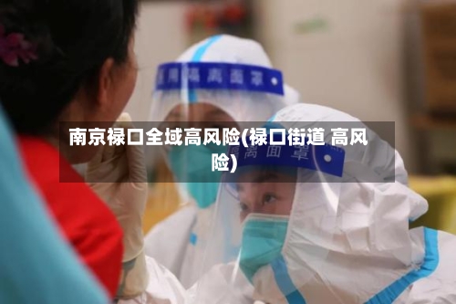 南京禄口全域高风险(禄口街道 高风险)