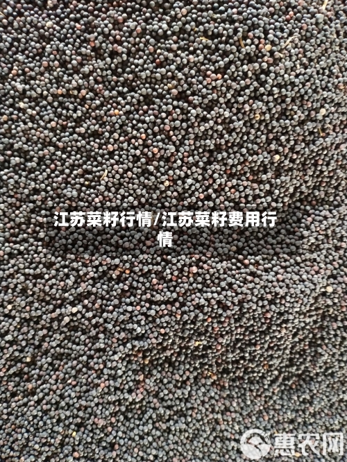 江苏菜籽行情/江苏菜籽费用行情-第2张图片
