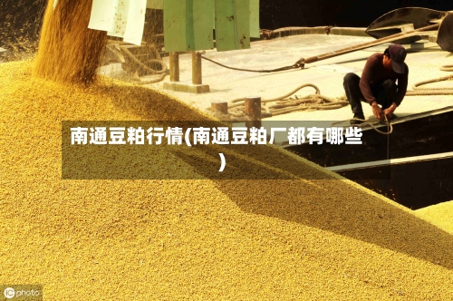 南通豆粕行情(南通豆粕厂都有哪些)